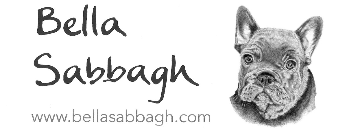 Bella Sabbagh Illustration